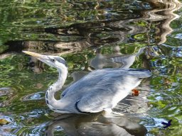 Tiergarten Schönbrunn am 20.10.2025